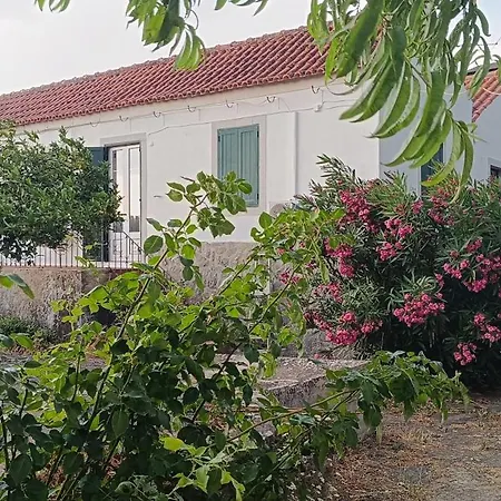 Vakantieboerderij Private Farm- Kingdom Of Stone- 1km Fluvial *