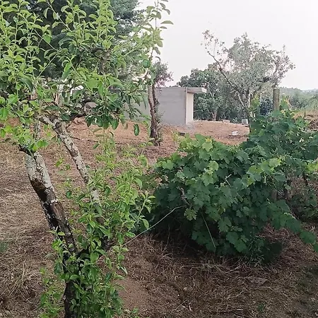 Private Farm- Kingdom Of Stone- 1km Fluvial 农家乐