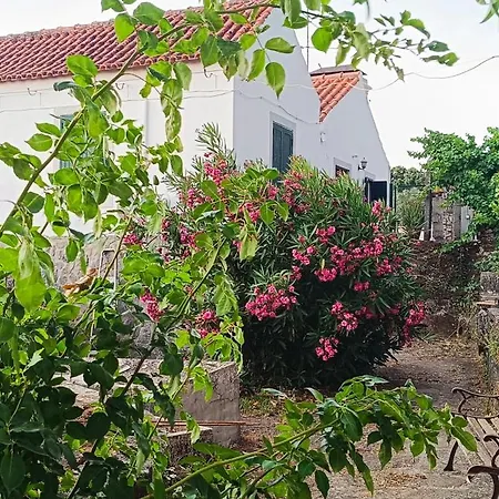 Private Farm- Kingdom Of Stone- 1km Fluvial * Tomar