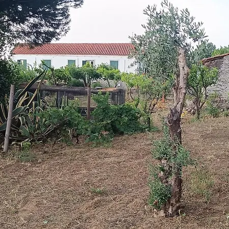 Farm stay Private Farm- Kingdom Of Stone- 1km Fluvial *