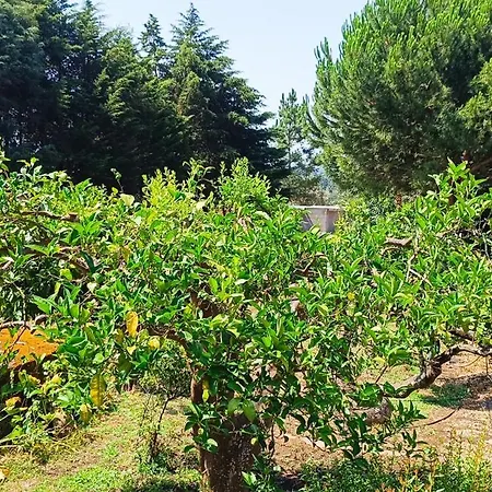 Private Farm- Kingdom Of Stone- 1km Fluvial *
