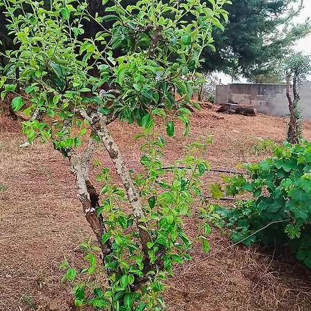 Private Farm- Kingdom Of Stone- 1km Fluvial