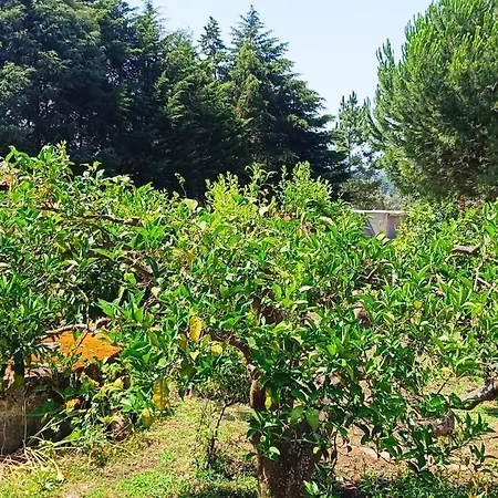 Farm stay Private Farm- Kingdom Of Stone- 1km Fluvial